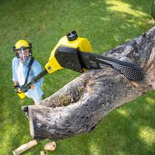 Best Organic Lawn Care Solutions  in South Uniontown, PA